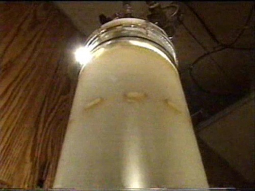 Stan's Tube Cell At Full Throttle